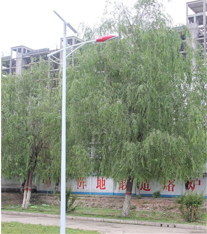 河南鄧州黨校太陽能路燈案例