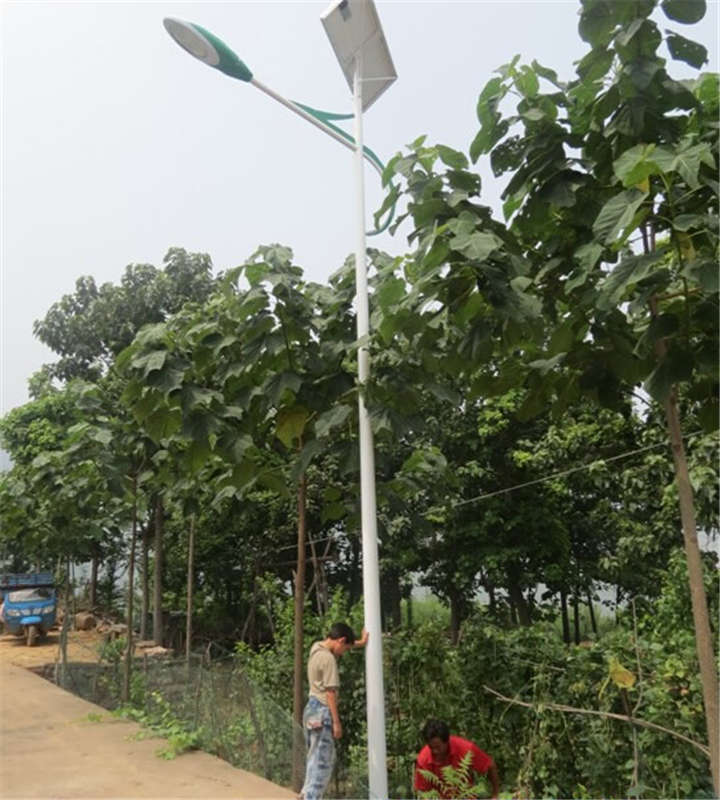 河南鶴壁太陽能路燈案例
