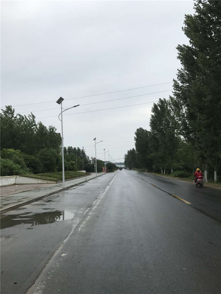 湖北孝感朱湖農場鋰電池太陽能路燈