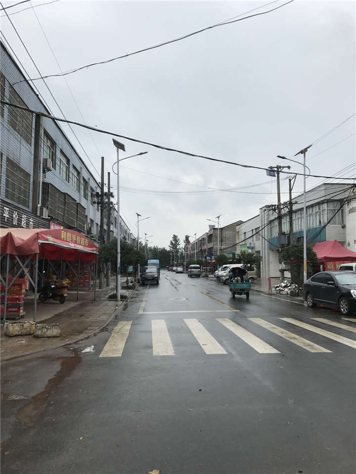 湖北孝感朱湖農場鋰電池太陽能路燈