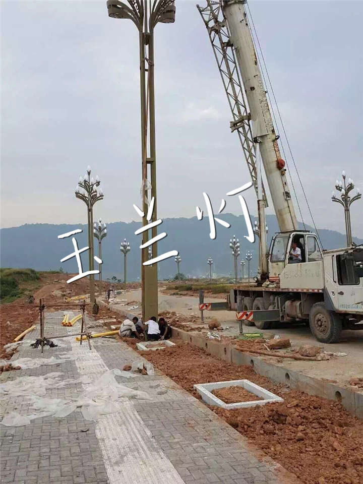 重慶黔江道路延伸工程-玉蘭燈