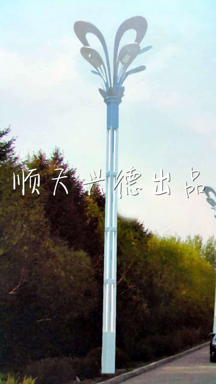 黑龍江二道河農場LED景觀燈亮化工程