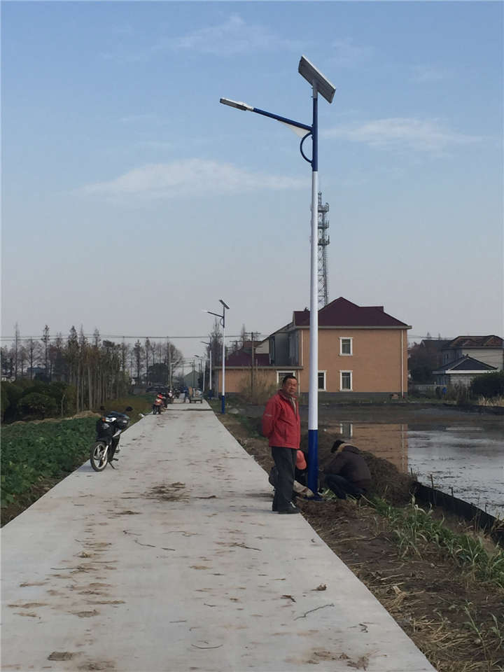 上海崇明島新農村太陽能路燈建設