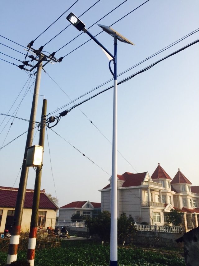 上海崇明島第四批太陽能路燈建設