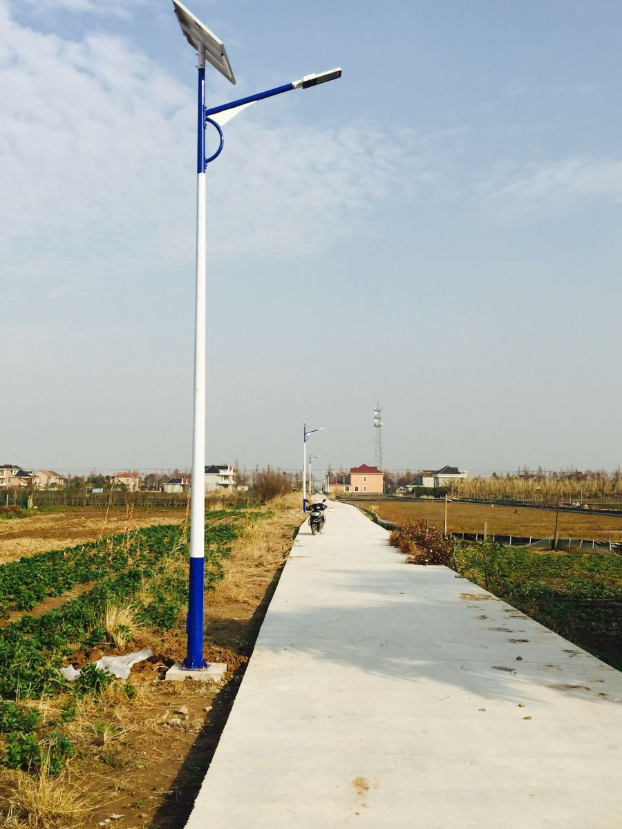 上海崇明島第四批太陽能路燈建設